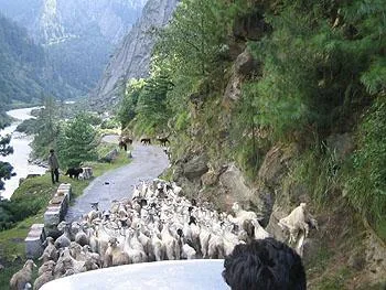 Do Dham Yatra from Delhi YAMUNOTRI GANGOTRI