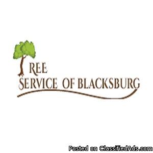 Professional Tree Removal Service in Blacksburg VA