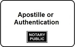 BRONX RUSH APOSTILLE SERVICES FOR ALL U.S. BIRTH CERTIFICATES