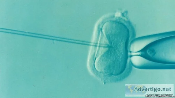 IVF Treatment Centre In Delhi - Delhi IVF