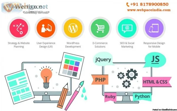 Website Designing Company in Delhi