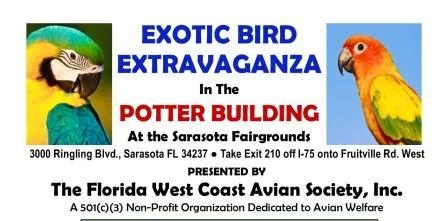 EXOTIC BIRD EXTRAVAGANZA