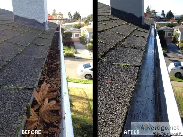 Gutter Cleaning Service in Nassau County