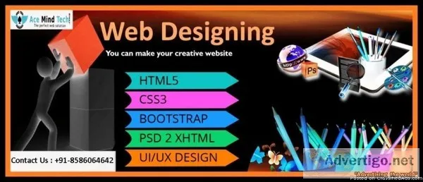 Web Development Company in Delhi