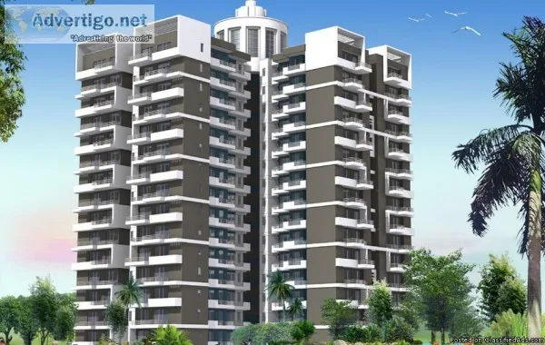 Flats For Sale in Ajnara Daffodil Sector 137 Noida 9711836846