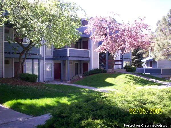 Two Bedroom One Bath- By BSU and Downtown