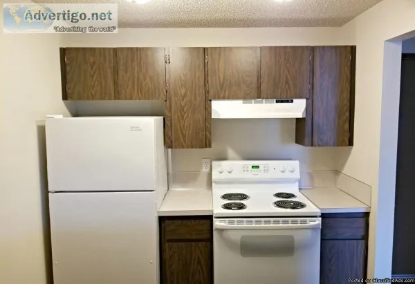 Affordable Burien 1 Bedroom