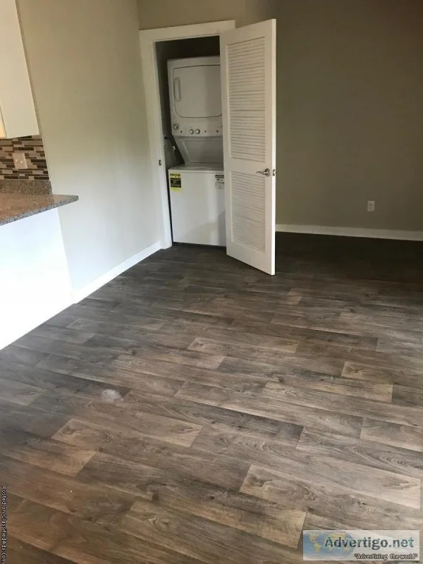 Luxury Buckhead Apartment with free RENT