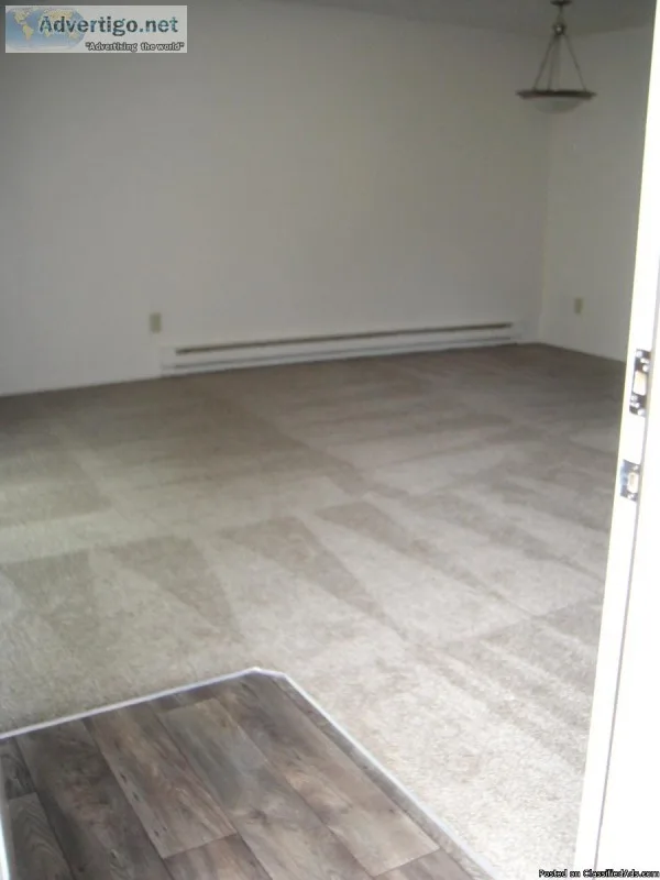 SeaTac Apartments - 2BR1BA 825SQFT