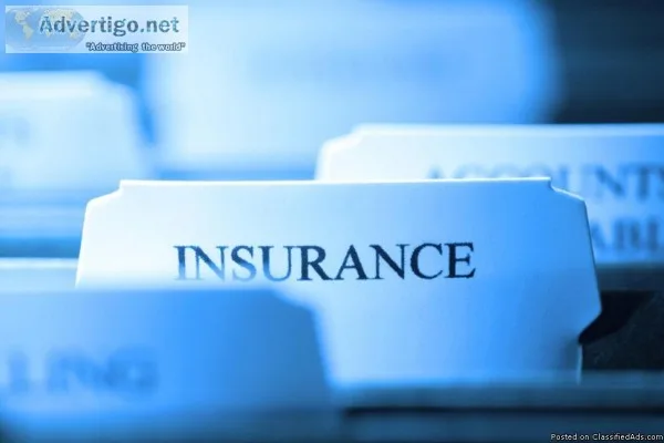Live Worry-Free with The Best Insurance Agency Los Angeles