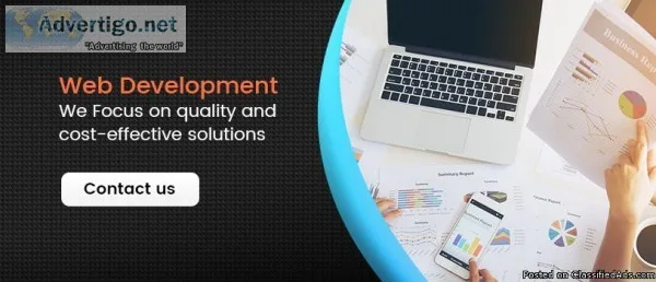 Professional Web development company in india