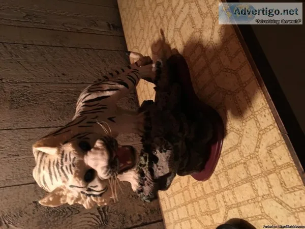 Very Heavy Tiger Statue