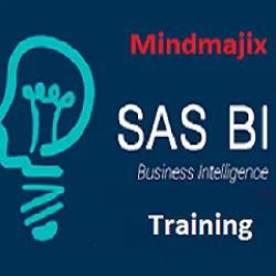 SAS Bi online Training 100% Practical