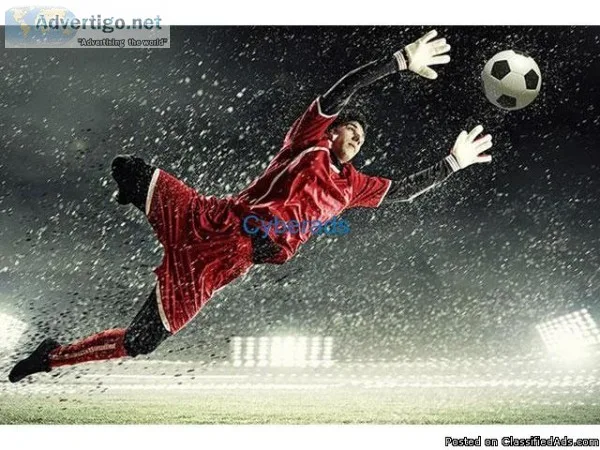 Best MBA Sports Management Programs