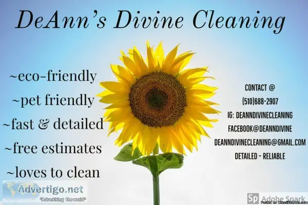 DeAnn s Divine Cleaning