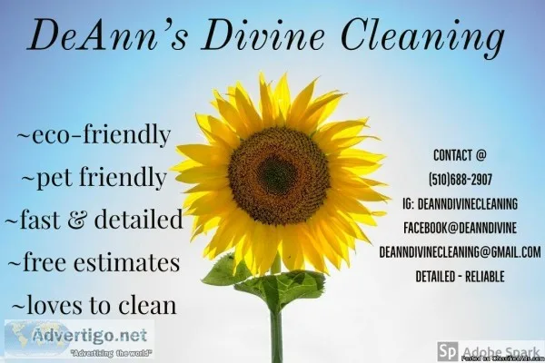 DeAnn s Divine Cleaning