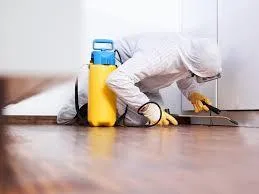 Hire The Cheap Pest Control Services in Noida