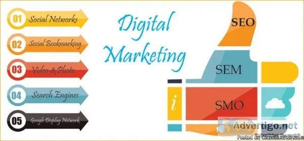 Digital Marketing Company in delhi NCR  Digital Wizards