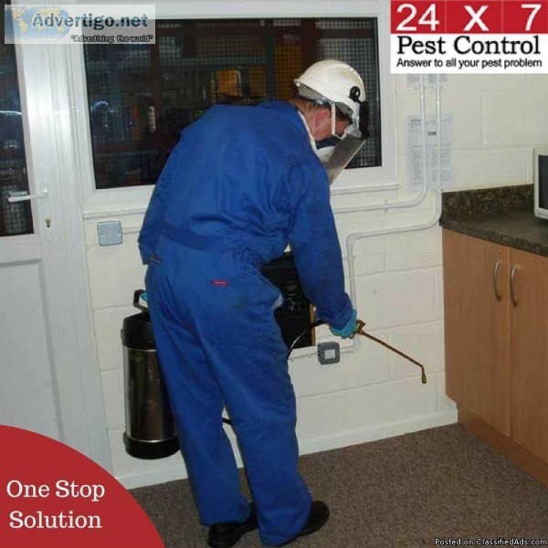 Quality Pest Control Services - 24x7 Pest Control
