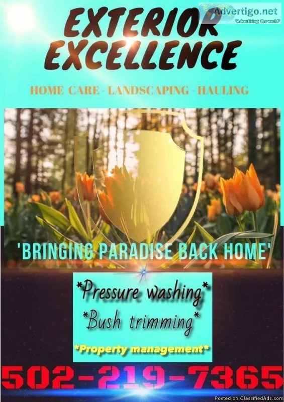 PROFESSIONAL HOME CARE