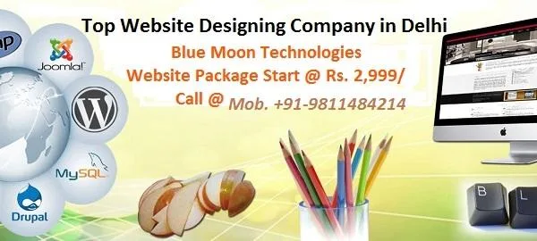 Web Development in Delhi