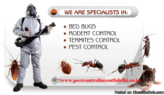 Professional Pest Control Services in South Delhi