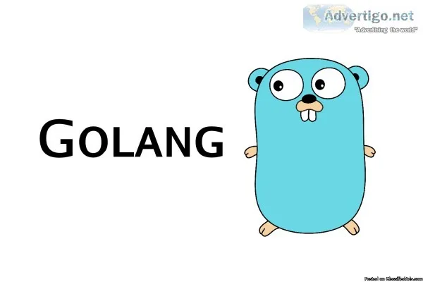 Get the Best Golang Development Services - Agriya