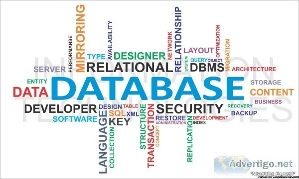 Database Management System Assignment Help for Students in UK