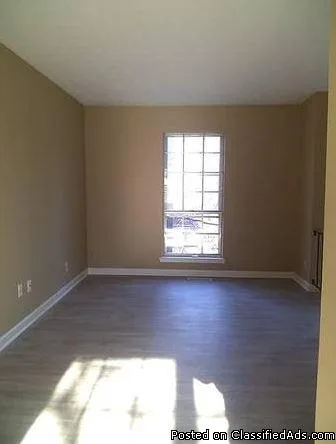 1 Bedroom 1 Baths