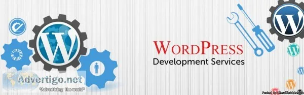 Chahar Technologies  WordPress Website Design Company in Delhi