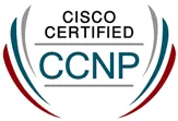 No.1 CCNP Training Institute in Chennai