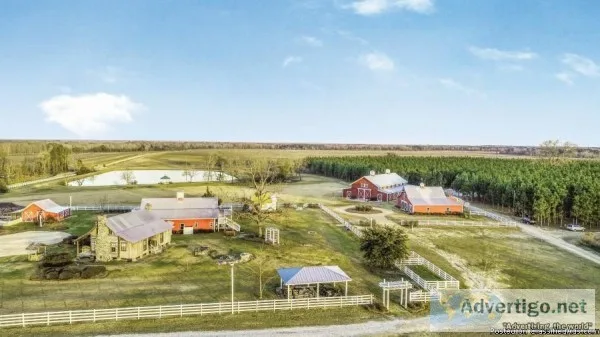 TWIN OAKS FARM RETIREMENT AUCTION