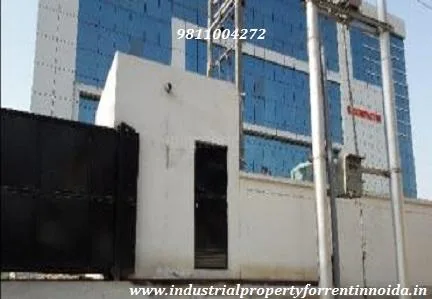 Best Industrial Property for Rent in Noida Phase-2 9811004272