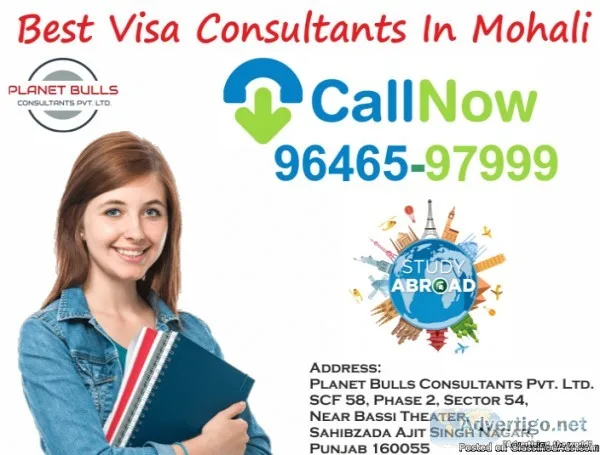Best Immigration Consultants In Chandigarh