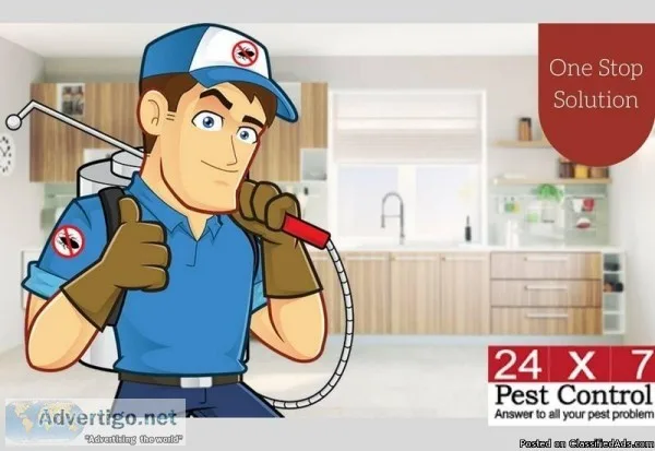 Hire The Cheap Pest Control Services in  delhi
