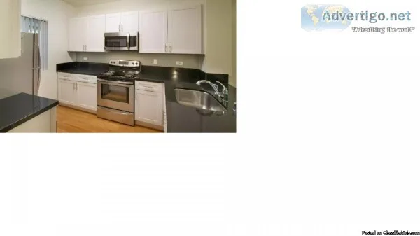 Kitchen Cabinets - White Thermofoil RTA Plywood