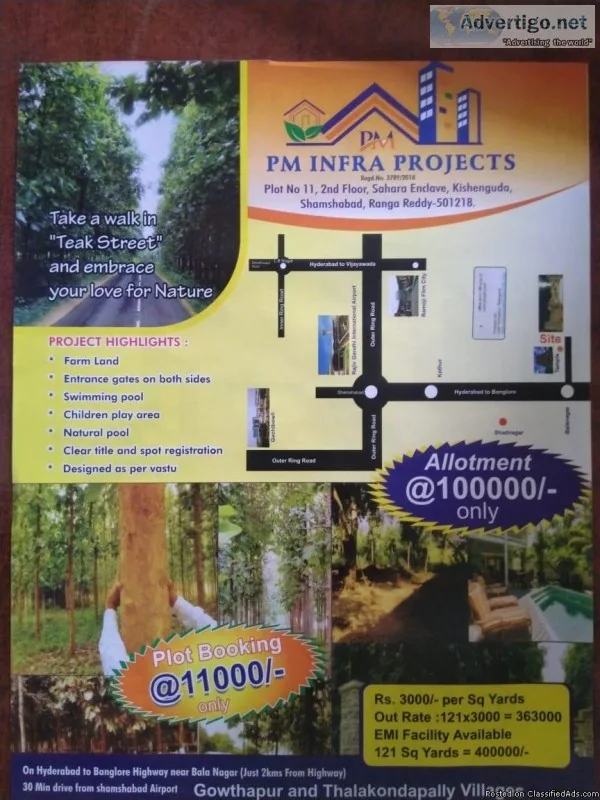 Open plot with Teak trees