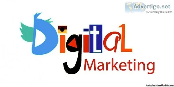Top-notch Digital Marketing Agency in India - EZ Rankings