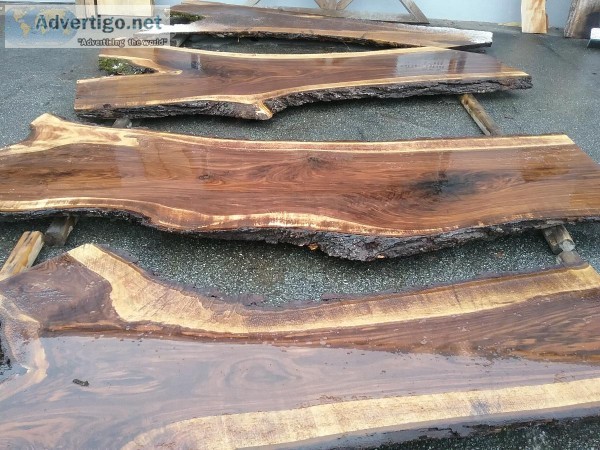 Live Edge Wood Slabs