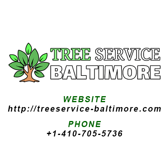 Tree Service Batimore