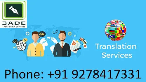 Professional translation services in pun