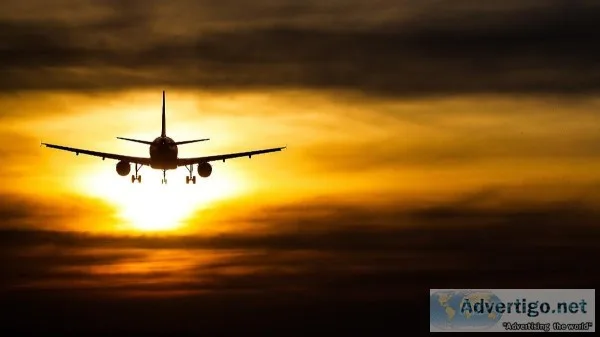 Urgent Requirement For Airlines Job (Need Some Freshers)