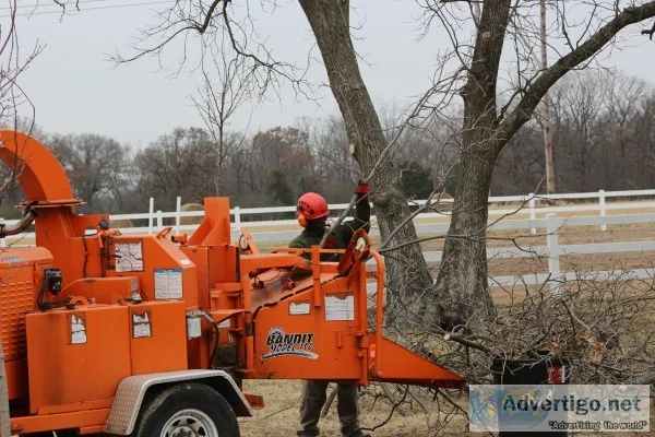 Resident and commercial tree service