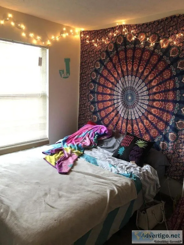 Looking for a sublease