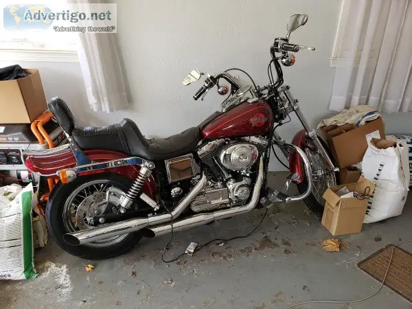 2000 mint Harley Wide Glide
