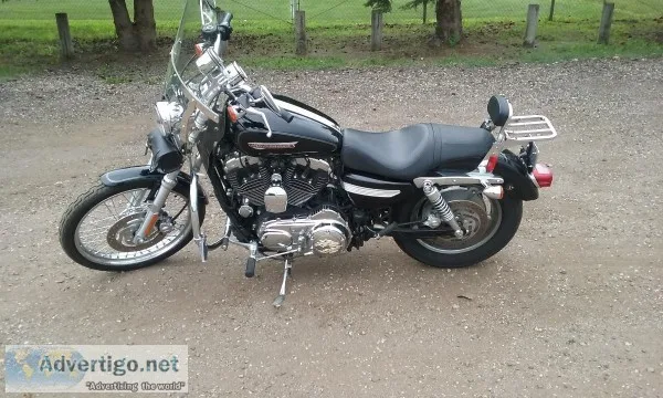 2009 harley xl sportster 1200 custom
