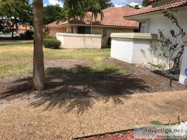 Chavez Complete Lawn Services