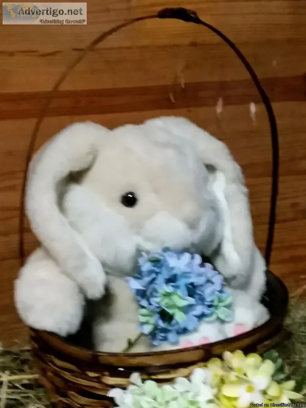 Open Barn and Pictures with the Easter Bunny