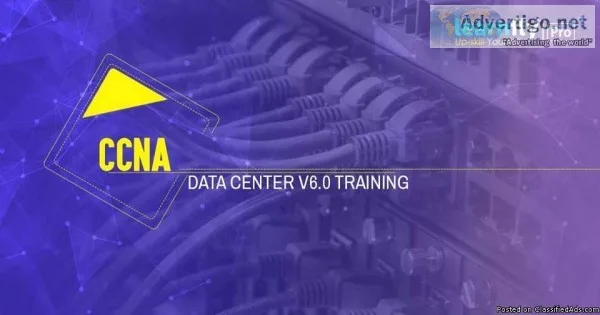 Cisco CCNA Certification Training course &ndashlearnflypro