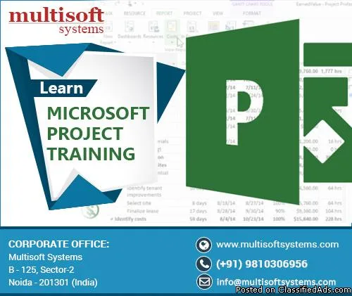 MS Project Training Certification